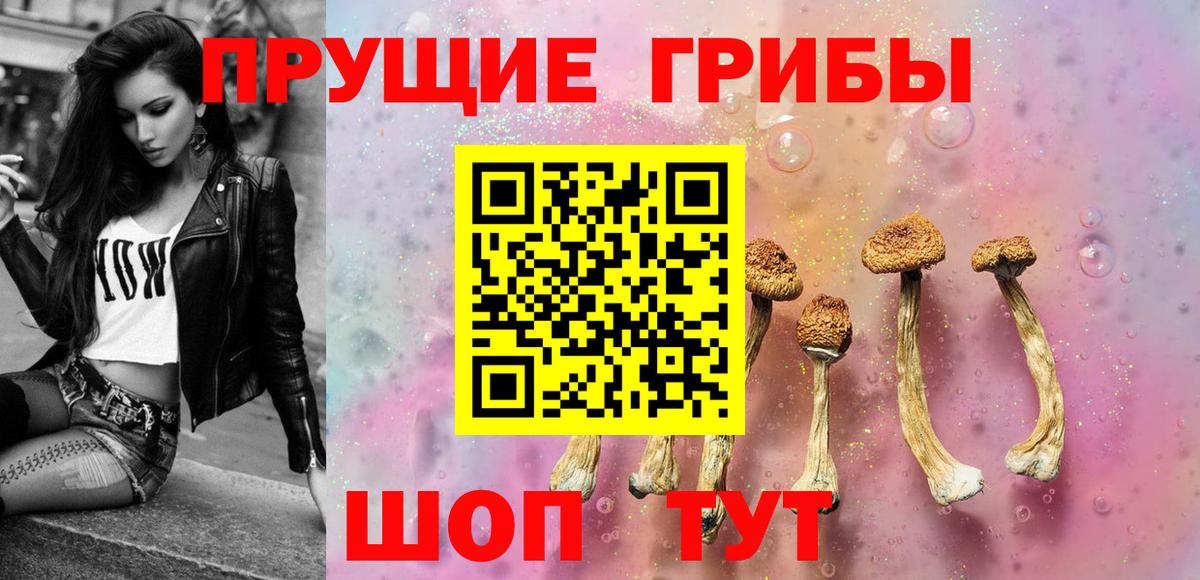 Узловая  Галлюциногенные грибы прущие грибы  Вход с VPN 